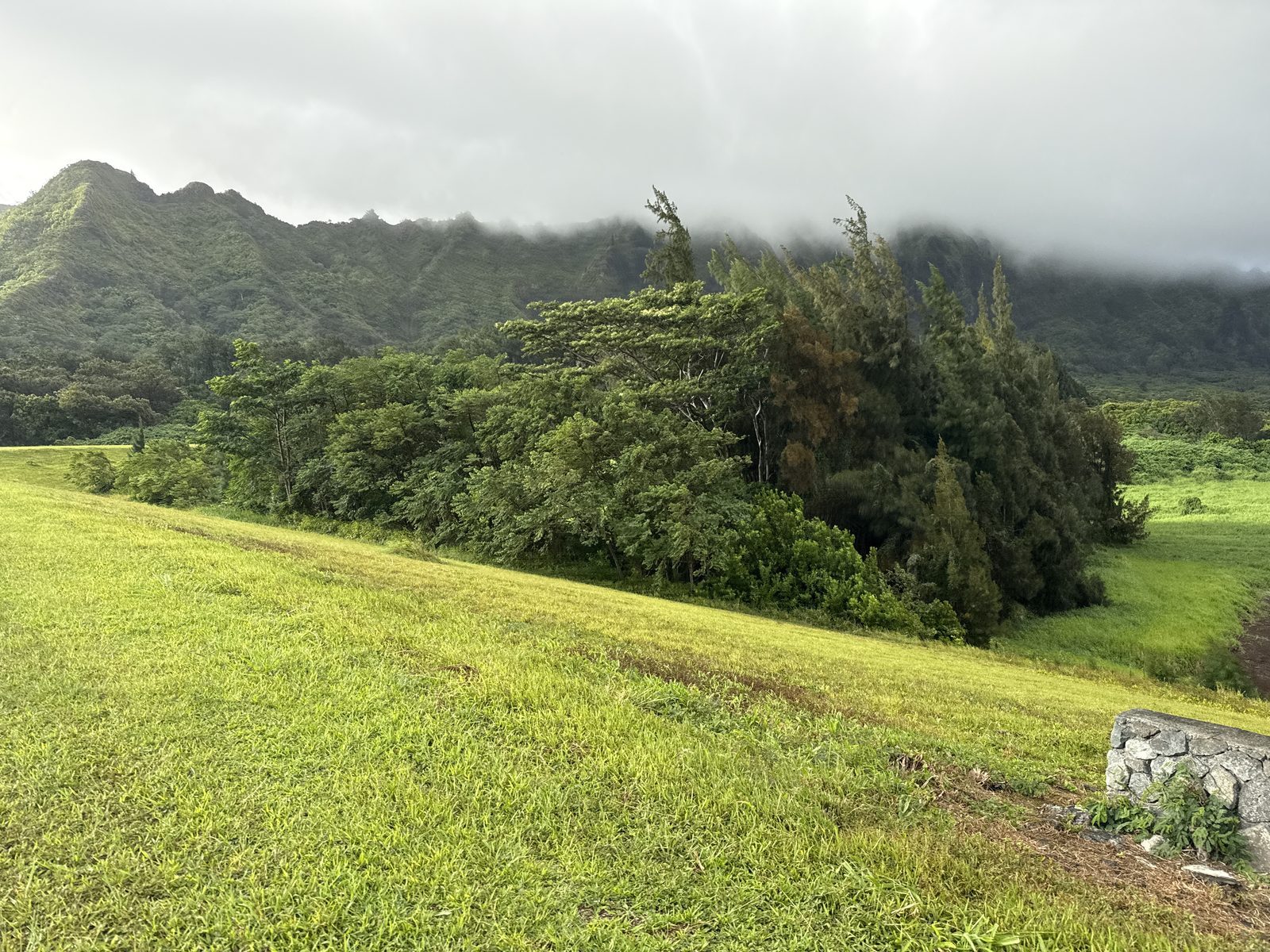 Landscaping and grounds maintenance on Oahu